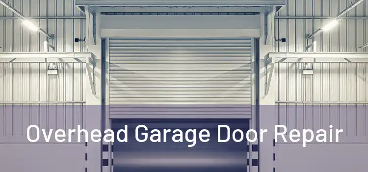  Overhead Garage Door Repair 